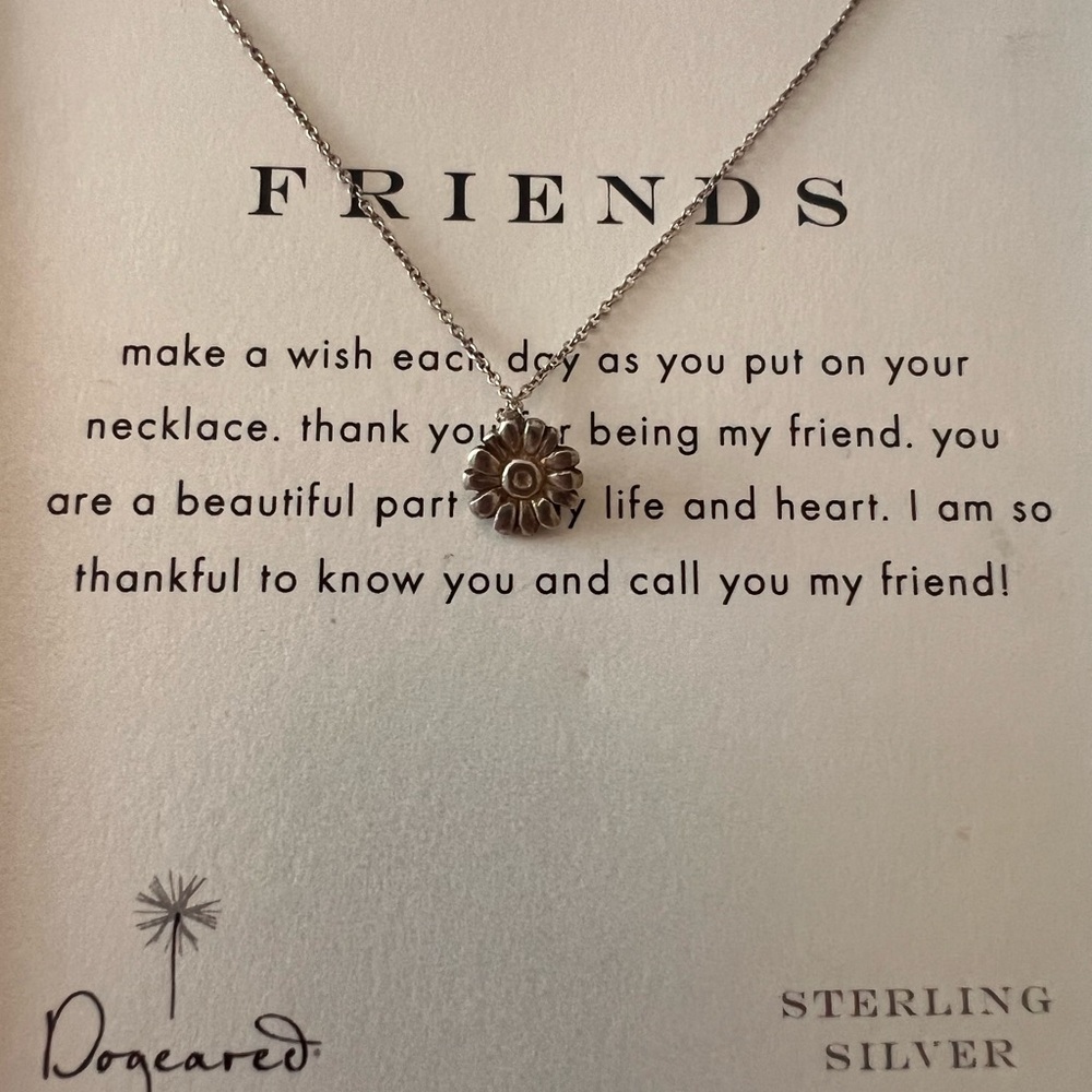 Sterling sliver friendship necklace.